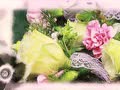 幸福女人，美麗相伴|59醫(yī)療器械網(wǎng)與您攜手共度佳節(jié)！
